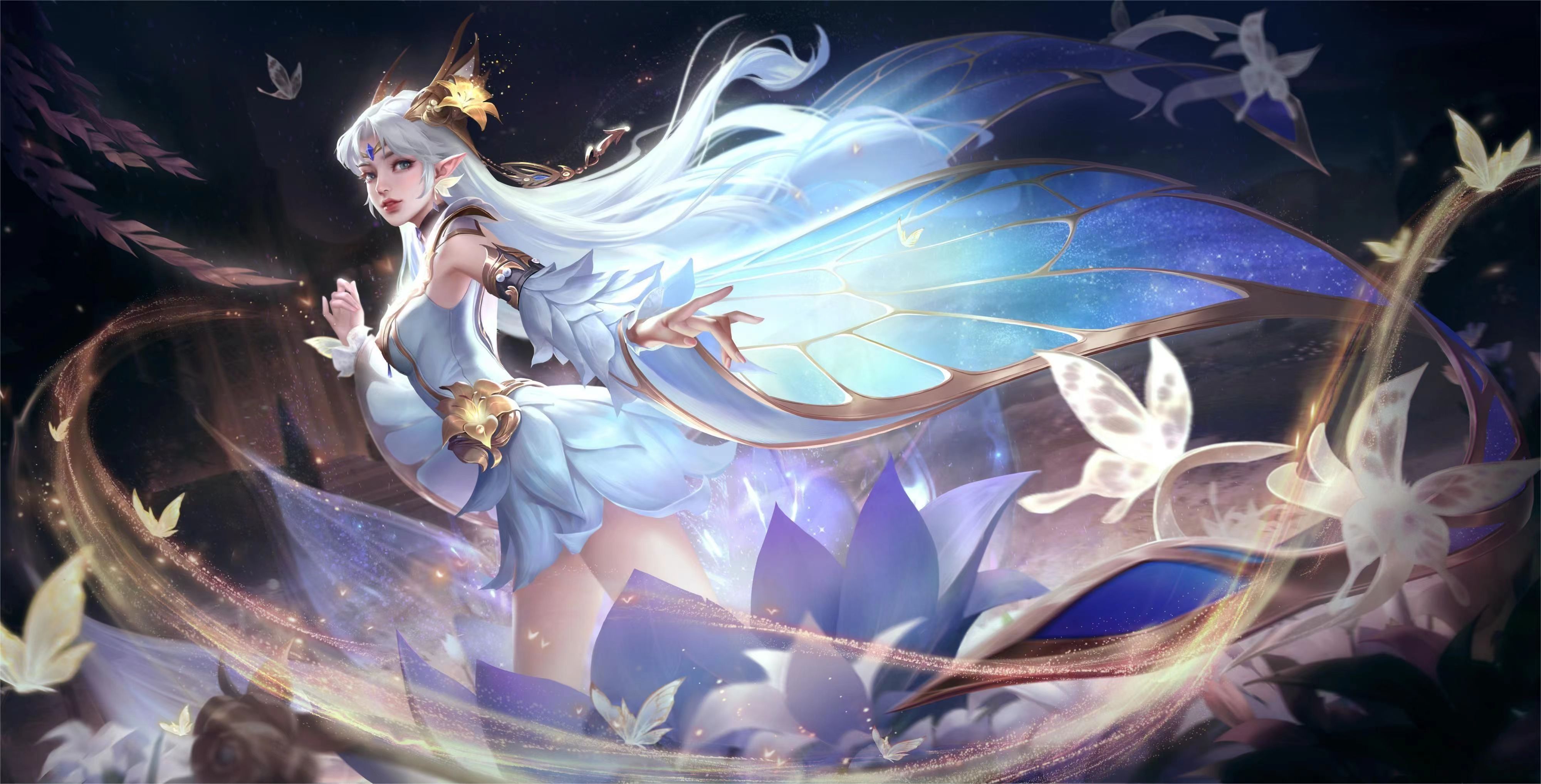 维萨加盟纽 维萨加盟纽